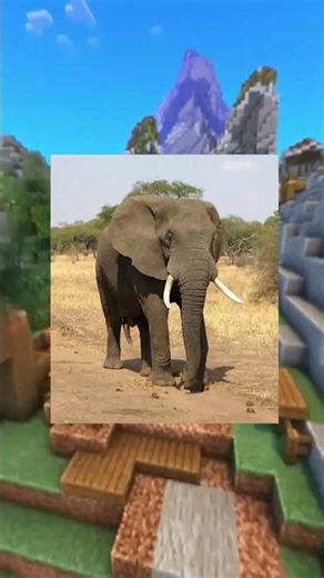 Elephant #viral #elephant #minecraft