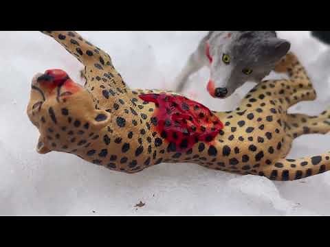 The Crescent Moon Pack~Ep 14~Toy wolf Fox series~Season finale