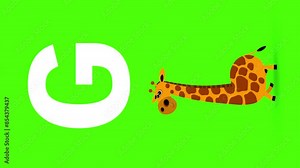 G letter big color vertical like giraffe cartoon animation. Animal loop. Educational serie with bold style character for children. Good for education movies, presentation, learning alphabet, etc...