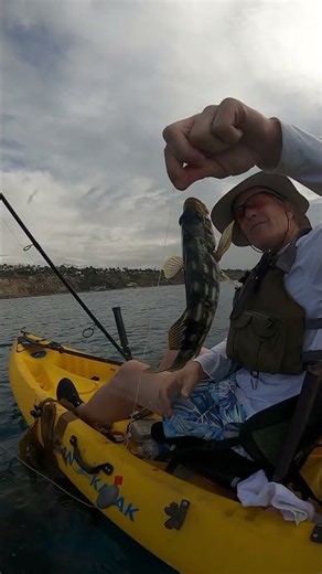 Crab Take-Over! Kayak Fishing San Pedro Cliffs. #fishing #kayakfishing