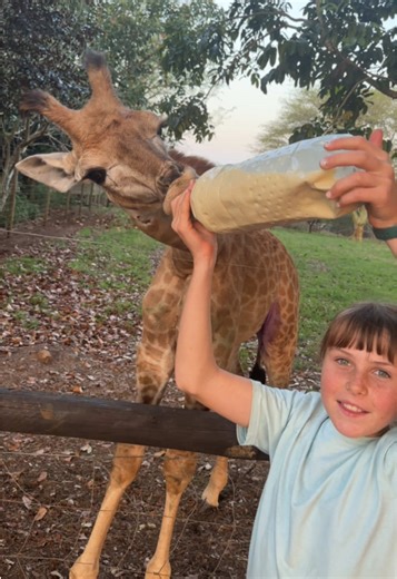 Feeding Layla the baby giraffe brings a BIG smile to my face - what a cool little animal! 🦒🙌🏻