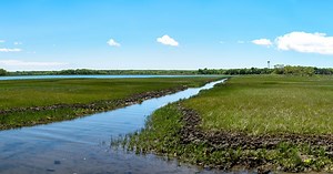 Merrill Lake Sanctuary