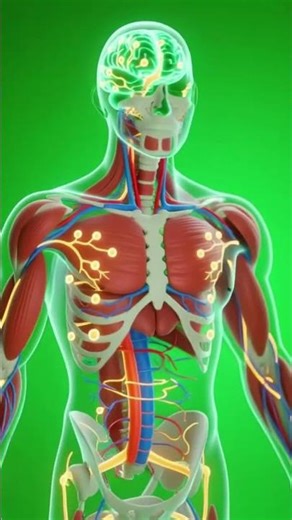 Drink Milk Like THIS… and Watch What Happens Inside Your Body | #milkbenefits #healthshorts #health