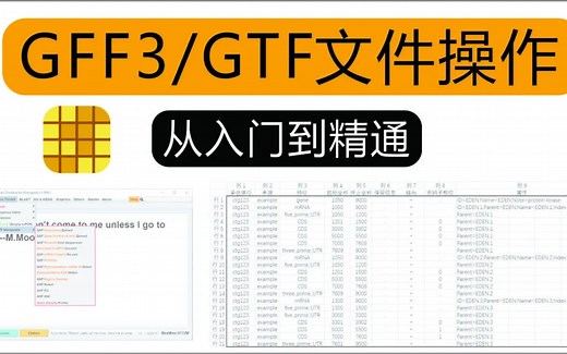 地表最强 GFF3/GTF 文件操作讲演 ~ TBtools-娇娇0000-基因结构绘制-哔哩哔哩视频