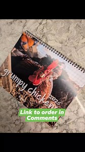 55K views · 103 reactions | Grumpy Chickens 2025 #imagrumpychicken #calendarboy #2025 | Grumpy Chickens | Facebook