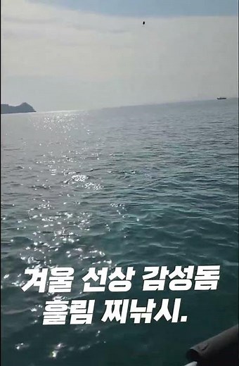 겨울 선상 감성돔 흘림 찌낚시 #감성돔낚시