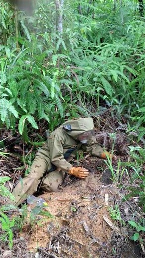 Select and capture the queen bee for breeding.c1620251008 104357~6