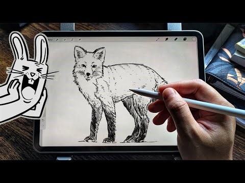 How to draw a Red Fox 🦊