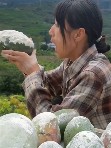 Kemajuan Pertanian di Cina: Inovasi Hibrida dan Buah Berkualitas