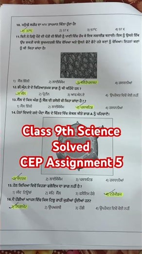Class 9 Cep Assignment 5 solved | Answerkey