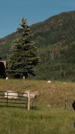 #yellowstone | Teeter - Yellowstonee