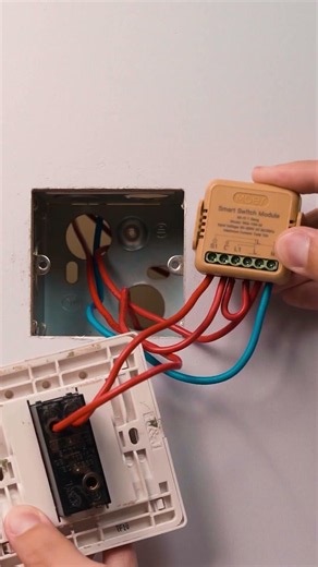 Smart Switch Module for Existing Wall Switches | MOES