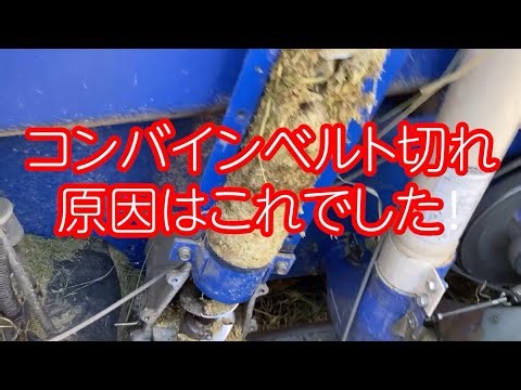 【コンバインベルト切れ 原因は】素人からの農業スタート ぽかぽかファーマー古田 vol.296 #ぽかぽかワークス