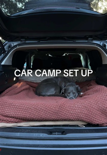 Car Camp Set Up: Mazda CX-50 Car Camping with Dog