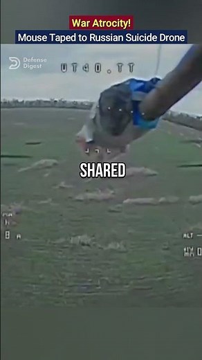 Russian Drone Operator Tapes Live Mouse to Explosive Drone! #UkraineWar #WarCrimes #AnimalCruelty