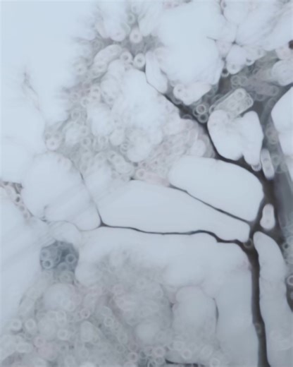 The snowscape is absolutely beautiful.😘