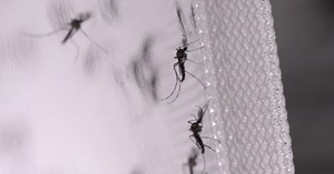 KDKA-TV Afternoon Forecast (8/9)