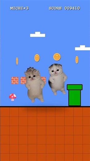 Los gatitos con CORONA bailando en un VIDEOJUEGO como si nada 🎮😹
