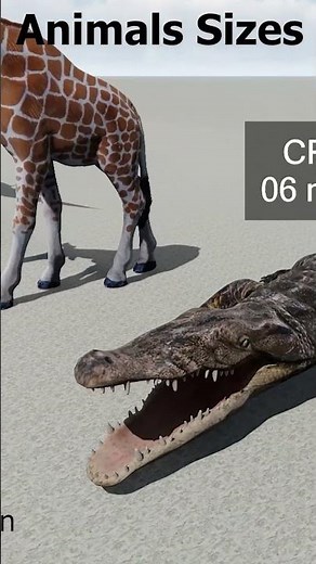 Animals SIZE Comparison 3D Animation 2024 #3dcomparison