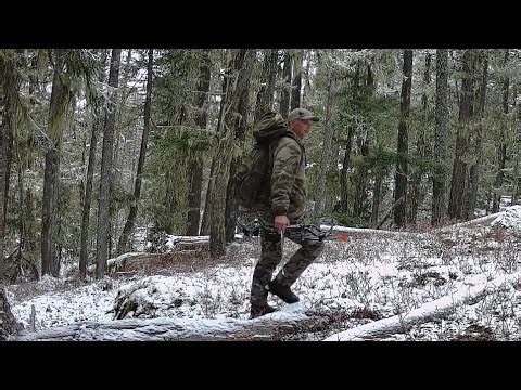 Broad Daylight, This Hairy Grey Thing Is Looking In Our House Through The Window