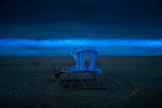 Bioluminescence in Bay Area: Where to See the Glow | KQED