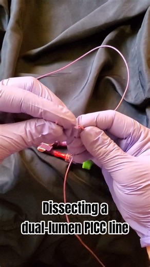 The anatomy of a dual-lumen PICC line to see why you need to flush both lumens every day