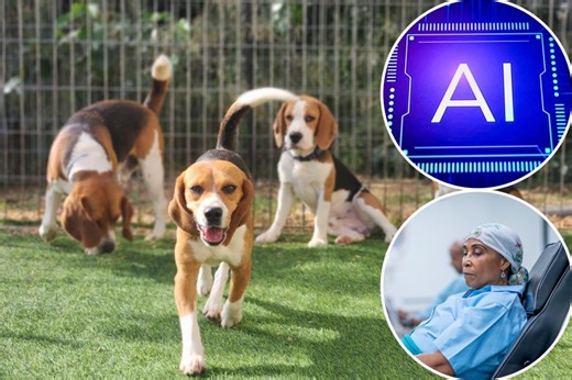 Exclusive | New home test can detect cancer — thanks to adorable puppies who sniff it out