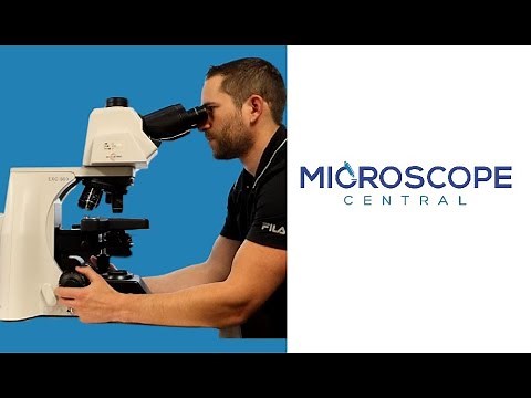 Features To Look For In A Pathology Microscope