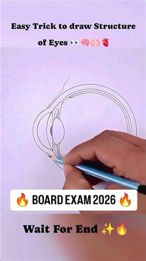 Structure of Human Eye 👁️ | Easy Diagram Trick | Class 10 Biology #eyes #diagram #scienceshorts #yt