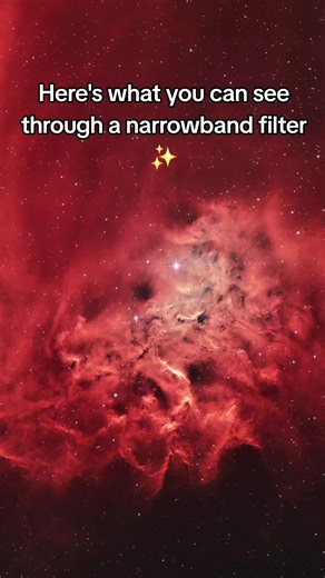 The Flaming Star nebula! This is what you can capture with a DSLR and @SVBONY Official Astro SV220 filter! #astronomy #svbony #telescope #nightsky #space