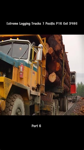 Extreme Logging Trucks 7 Pacific P16 Cat 3406 #extreme #logging #trucks #paciftic