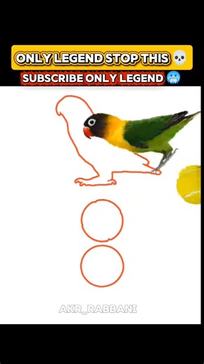 #trending