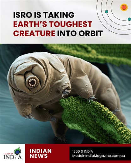 ISRO is sending Earth’s toughest survivor into space! 🚀 These microscopic ‘water bears’ can survive boiling, freezing, and even the vacuum of space! What does this mean for the future of space travel? Discover More - https://madeinindiamagazine.com.au/isro-is-taking-earths-toughest-creature-into-orbit #space #isro #universe #astronomy #art #science #galaxy #moon #stars #cosmos #spacex #astrophotography #scifi #photography #earth #astronaut #love #alien #nature #mars #planets #spaceart #sky #spa