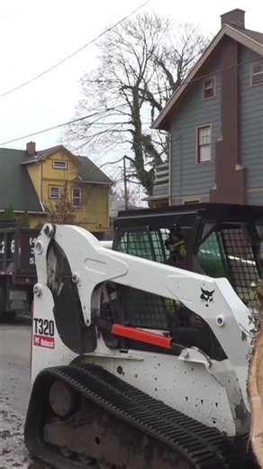 Tree companies seeing big need for removals after windstorms