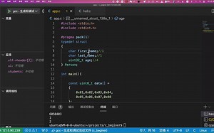 使用struct和指针解析二进制数据