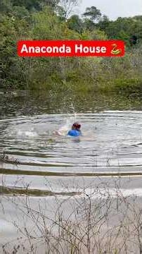 So, it's a movie about an anaconda in the Amazon.