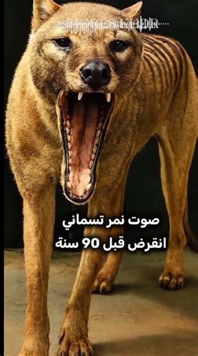 اغرب اصوات الحيوانات المنقرضة لن تتكرر ثانيه #shorts #animals