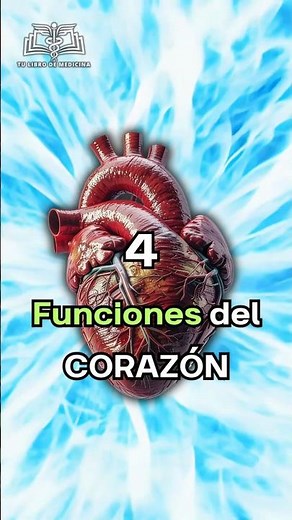 Cuatro Funciones del Corazón🫀 #corazón #medicina