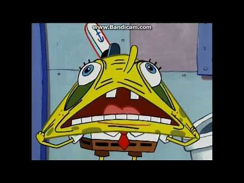 Opening To Rugrats Go Wild 2003 DVD