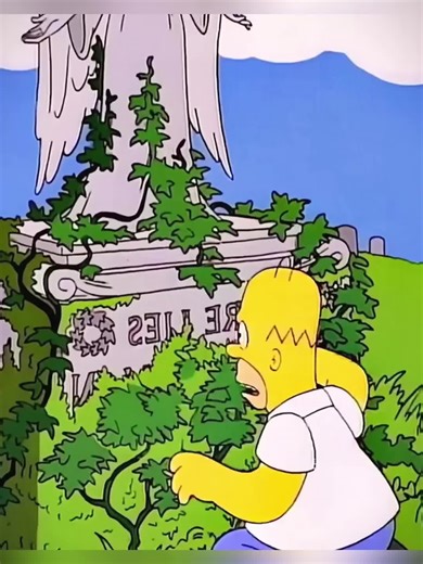 #simpsons #cartoontok #thesimpsons#usa | the simpson