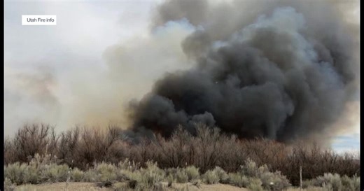 ‘Way too early’: Sevier County sheriff raises alarm after wildfire sparked by controlled burn