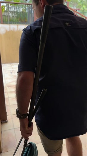 Snake Poos on Brandon! Coastal Carpet Python Wildlife Encounter