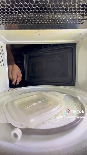 Microwave Science: Cockroach Experiment Explained