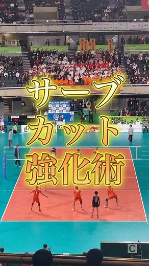 モリスl誰でも超ジャンプ力UPさせるバレーコーチ on Instagram: "レセプションのコツは改めてここでまとめました。 #バレーボール #バレーボール男子 #バレーボール女子 #バレーボール部 #バレーボール好きな人と繋がりたい #春高バレー #春高バレー2025"