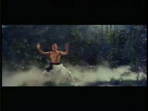 Jet Li - The Shaolin Temple