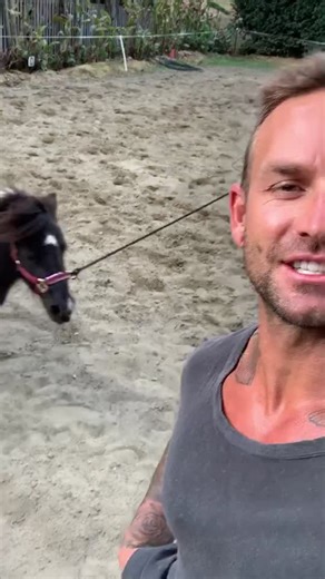 Horse Whispering Techniques: Understanding Communication with Horses