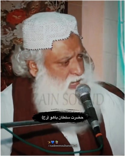 Exploring Sultan Bahoo's Legacy