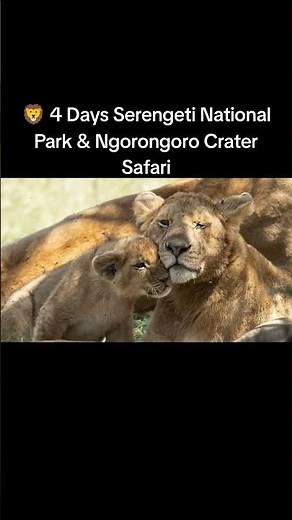 🦁 4 Days Serengeti National Park & Ngorongoro Crater Safari