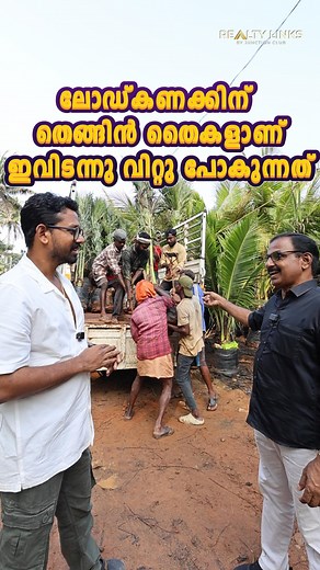 ദിവസവും Load കണക്കിന് തെങ്ങിൻ തൈകളാണ് ഇവിടെ Sale നടക്കുന്നത് Greens Nursery Amaravila, trivandrum 91 94464 05823 91 90370 44823 | Junction club