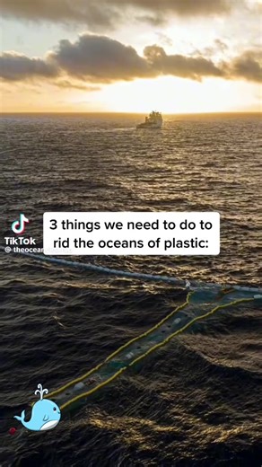 Neil Miles on TikTok